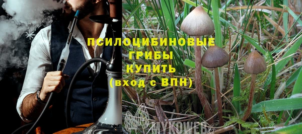 кокс Вяземский
