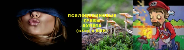 кокс Вяземский