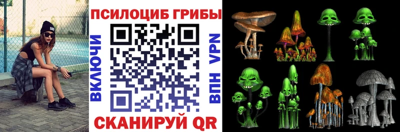 Псилоцибиновые грибы ЛСД  продажа наркотиков  Оса 