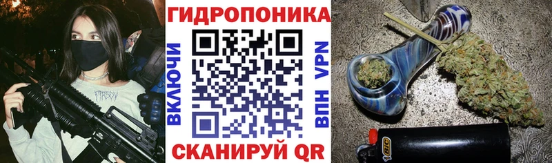 купить наркотик  мега ССЫЛКА  Бошки Шишки сатива  Оса 